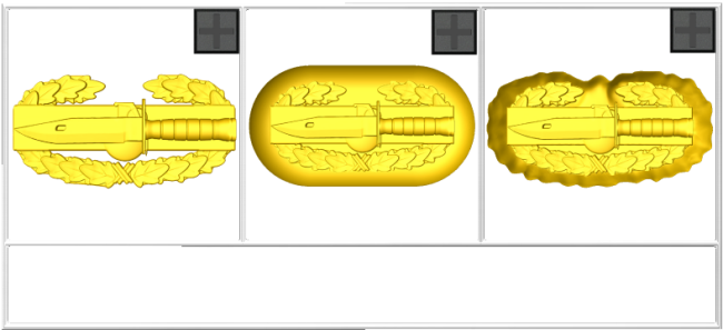 Combat Action Badge