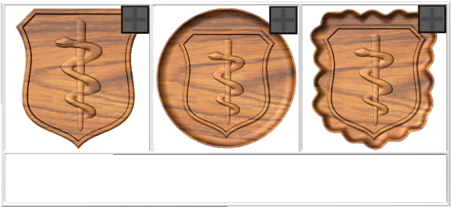 Physician Badge