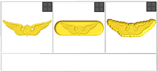 Army Astronaut Badge