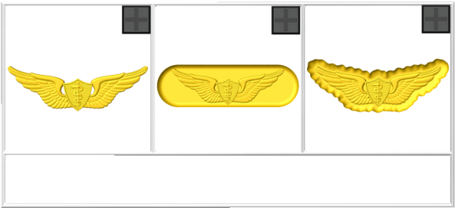 Flight Surgeon Badge