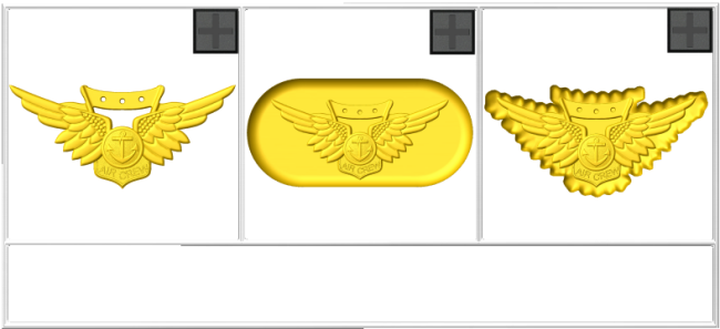 Combat Aircrew Badge