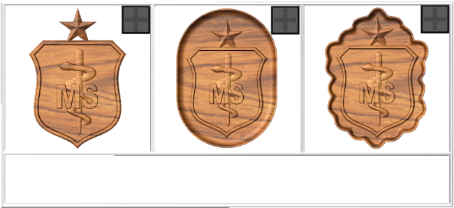 Senior Medical Service Badge