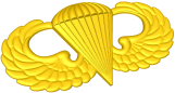 Army Airborne Wings Style A