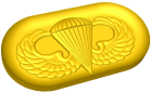 Army Airborne Wings Style B