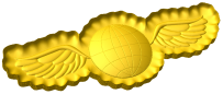 Aviation Electronic Computer Technician Badge Style C
