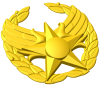 Air Force Commander Pin Style A