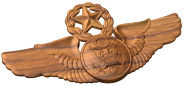 USAF Master Enlisted Aircrew Badge Style A