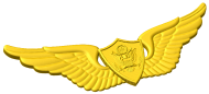 Army Aircrew Wings Style A