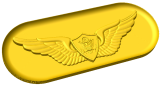 Army Aircrew Wings Style B