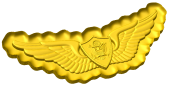 Army Aircrew Wings Style C