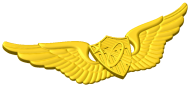 US Army Astronaut Badge Style A