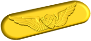 US Army Astronaut Badge Style B