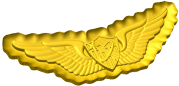 US Army Astronaut Badge Style C