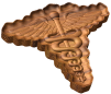 US Army Medical Corps Insignia Style C