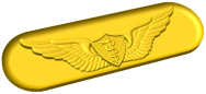 US Army Flight Surgeon Badge Style B