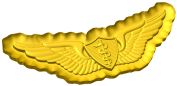 US Army Flight Surgeon Badge Style C