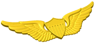 Army Pilot Wings Style A
