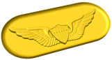 Army Pilot Wings Style B