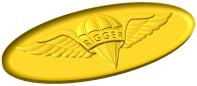 Army Parachute Rigger Badge Style B