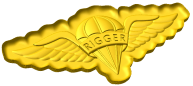 Army Parachute Rigger Badge Style C