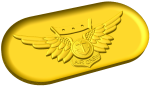Combat Aircrew Wings Style B