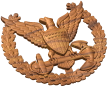 Command Ashore Badge Style A