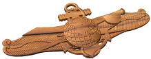 EIDWS Warfare Badge Style A