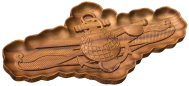 EIDWS Warfare Badge Style C