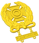 US Army Weapons Qualification Badge -- Expert
