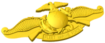 Fleet Marine Force Badge Style A