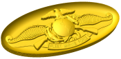 Fleet Marine Force Badge Style B