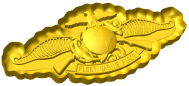 Fleet Marine Force Badge Style C