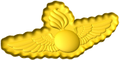USMC Aviation Ordinance Badge Style C