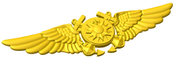 USMC Navigator Badge Style A