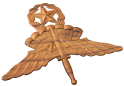 Master Freefall Parachutist Badge Style A