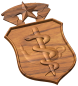 Master Nurse Badge Style A