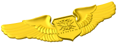 Air Force Navigator Wings Style A