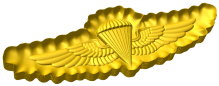 Naval Parachutist Badge Style C