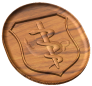 Nurse Badge Style B