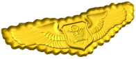 Air Force Officer Aircrew Wings Style C