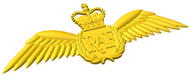 Royal Air Force Pilot Brevet Style A