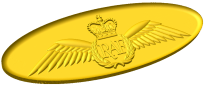 Royal Air Force Pilot Brevet Style B