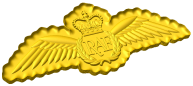 Royal Air Force Pilot Brevet Style C