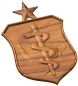 Senior Nurse Badge Style A